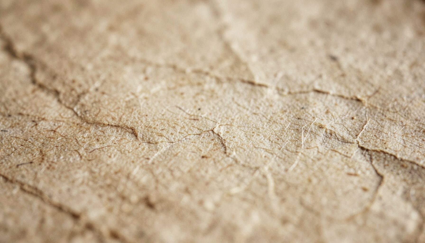 A weathered close-up photograph of aged parchment with soft sepia and umber tones, showing fine fibrous texture and gentle creases that evoke a quiet, contemplative scholarly atmosphere.