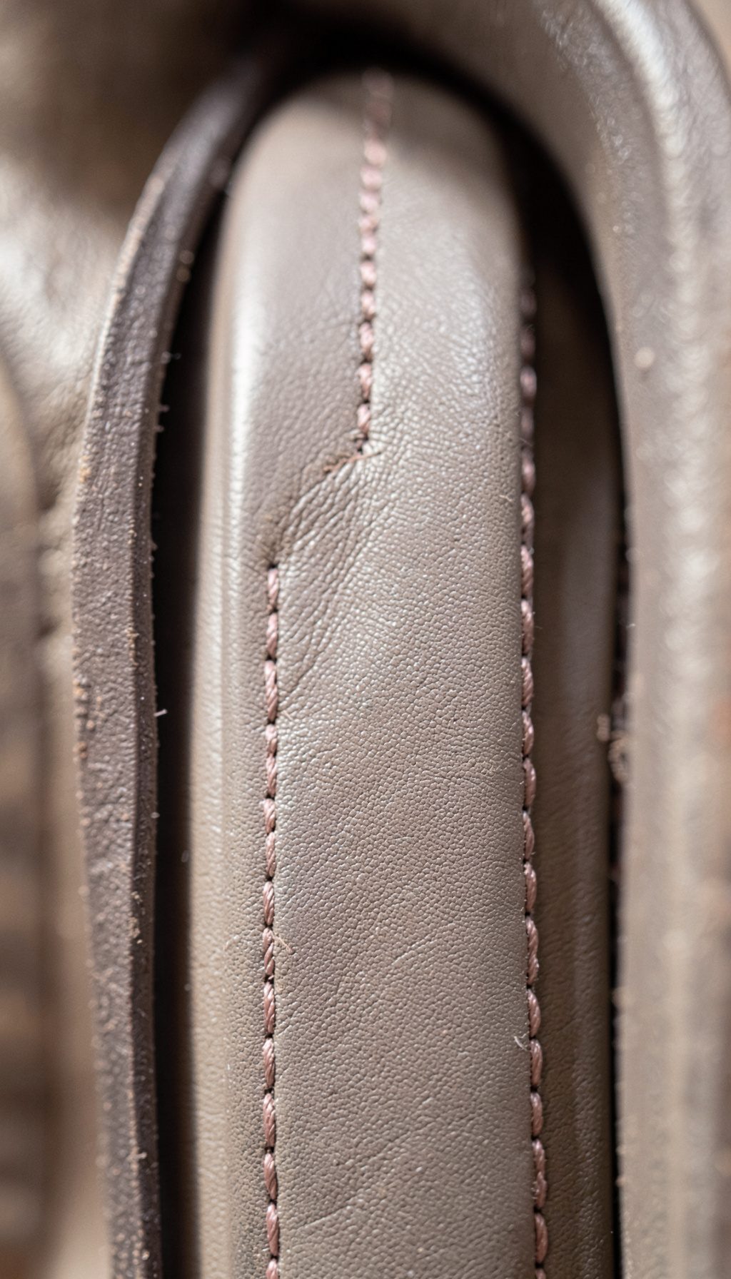 An extreme close-up of a taupe leather spine with dusty rose stitching, framed within a tall arch shape in soft library light.
