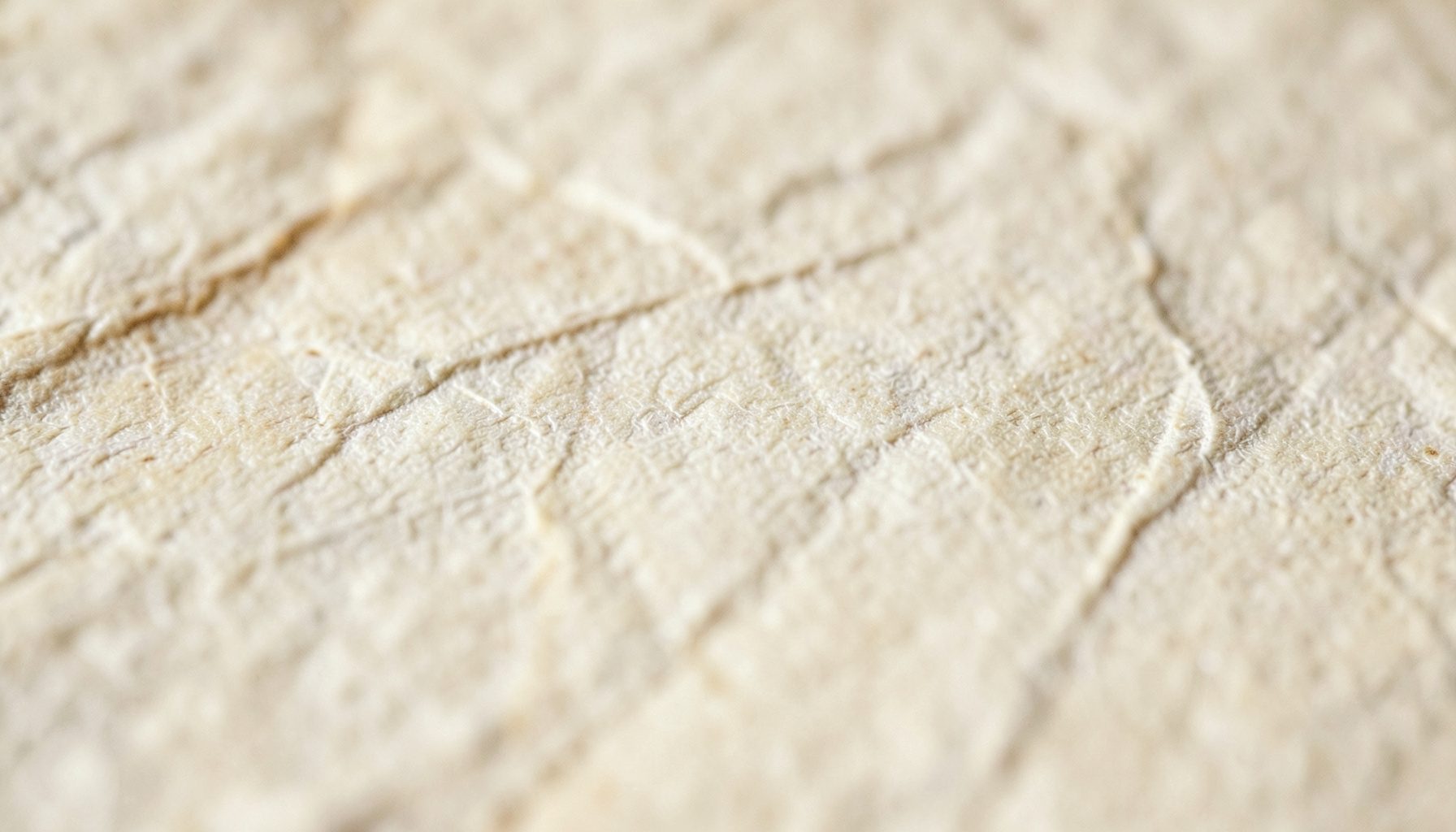 Extreme close-up of weathered, cream-colored parchment paper with fine creases and soft warm shadows, evoking an old scholarly document